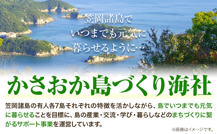 笠岡諸島からの贈り物 「瀬戸の島のり（ピリ辛）」&季節の商品 Cセット---B-101---