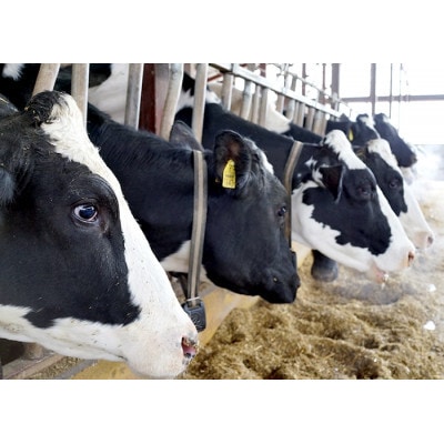 【毎月定期便】風景の牛乳 200ml　牧場てづくりのむヨーグルト 200g　各3本全3回【配送不可地域：離島】