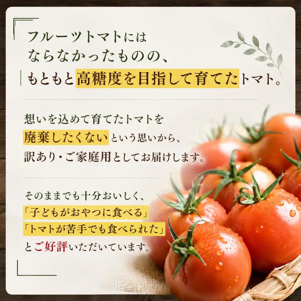 【2027年1月～4月頃発送】＜約1.2kg×3回 定期便＞訳あり 規格外 フルティカ トマト ましまファーム ミニトマト フルーツトマト アイメック  ワケあり