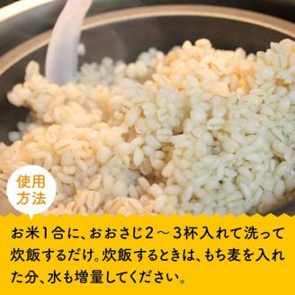 令和7年産 もち麦 2.5kg（500g×5袋） 【 ふるさと納税 国産 麦 もち麦 食物繊維 数量限定 宮崎県産 川南町産 送料無料 】