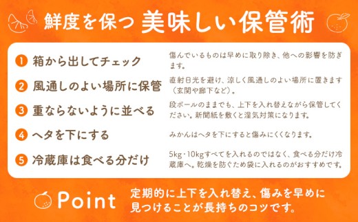 十万温州みかん 選べる L/LL混合 10kg 田野農園《12月中旬-3月中旬頃出荷》鹿児島県 さつま町 みかん 蜜柑 柑橘 果物 くだもの フルーツ ジューシー 送料無料