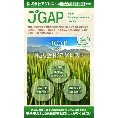 ふるさと納税 酒田市 無洗米「いいあん米」ひとめぼれ10kg(5kg×2袋) |  | 03