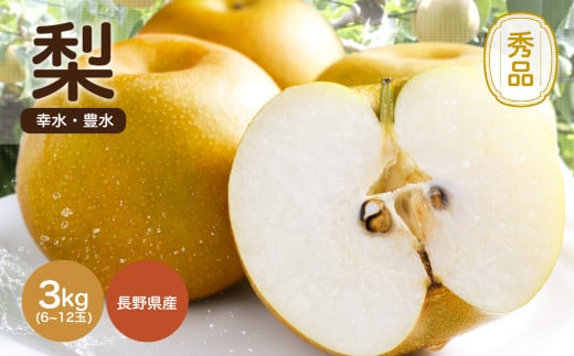 溢れる果汁 ジューシーな梨(幸水・豊水) 約3kg 秀品〈2025年8月下旬～9月下旬発送〉| 果物 くだもの フルーツ 梨 和梨 幸水 豊水 長野県 信州 南信州 飯田市