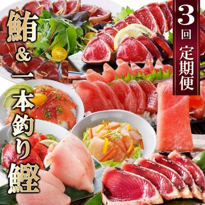 ふるさと納税 枕崎市 定期便(3ケ月)枕崎ふるさと納税　まぐろ&amp;一本釣りかつお LL-6001