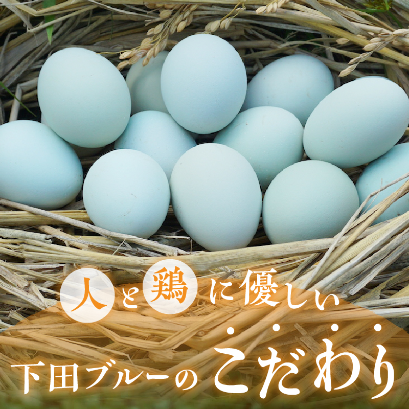 海と山からのおくりもの　下田ブルー(6個入り)2パック