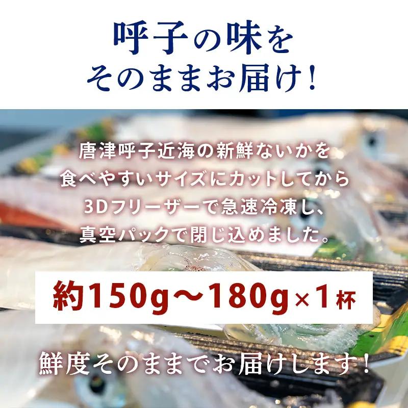 『先行予約』唐津呼子産いか活造り 1杯(約150g～180g)  急速冷凍 新鮮そのまま食卓へ！※水揚げあり次第7月以降順次発送させていただきます。