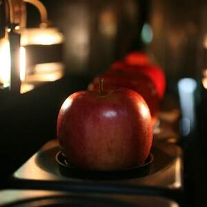 りんご/青森県産　彩り8種のりんご詰合せ【配送不可地域：離島】【1655324】