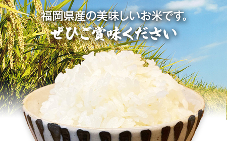 【令和7年産】 福岡県 大木町産 ヒノヒカリ 10kg　BC01