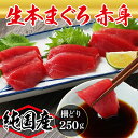 【ふるさと納税】【冷蔵・指定日着可】国産 生本マグロ 赤身 250g（柵どり/ 送料 無料 福井県 越前市 鮪 未冷凍 生まぐろ 生マグロ 本鮪 新鮮 お刺身 おさしみ お造り 切り身 切身 海鮮 海鮮丼 まぐろ丼 発送時期が選べる (18209）