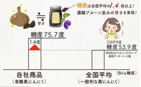 冷凍 餃子 6パック 6人前 黒 ニンニク 四万十ポーク 無添加 有機野菜 グルテンフリー餃子 高知県 須崎市 ギフトセット