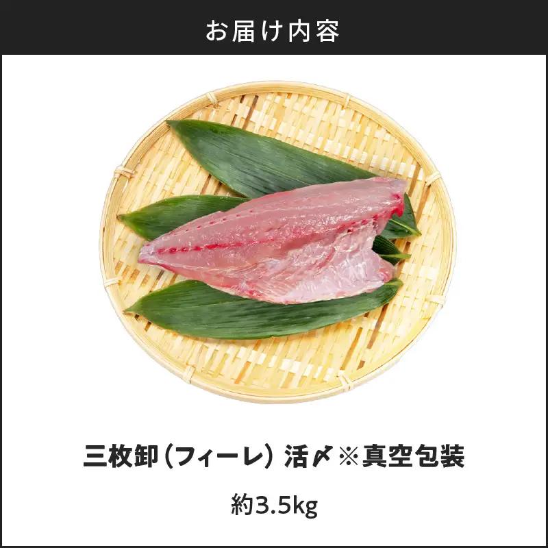 鹿児島県産 カンパチ 約3.5kg 三枚卸（ フィーレ ） 活〆 ※ 真空包装 K294-003_02 魚