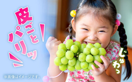 【先行予約】【訳あり】シャインマスカット　約1kg（2〜3房）　【中島農園】[AYCX003]