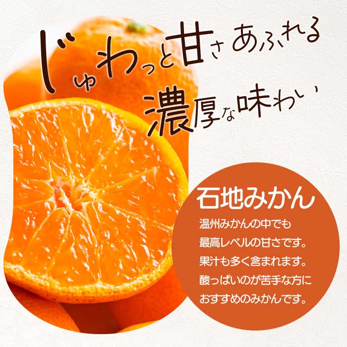 【おくはち農園】石地みかん 5kg 《2026年12月発送予定》栽培期間中 防腐剤 ワックス 不使用 旬 柑橘 かんきつ フルーツ 果物 瀬戸内 166004