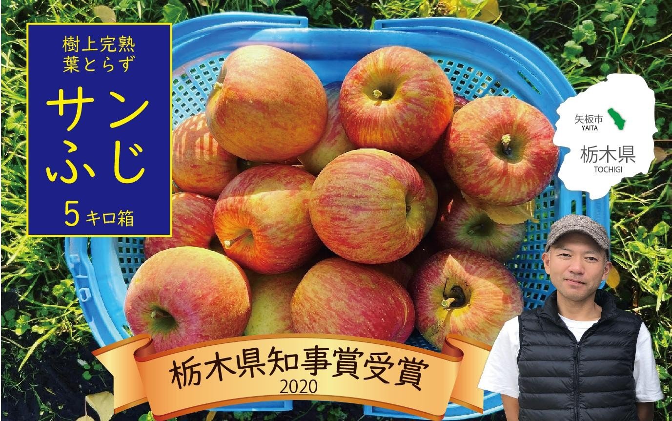 
                  樹上完熟・葉とらず・りんご [ サンふじ ] 5kg | すっぴんりんご 果物 フルーツ ふじ さんふじ 産地直送 栃木県産
                