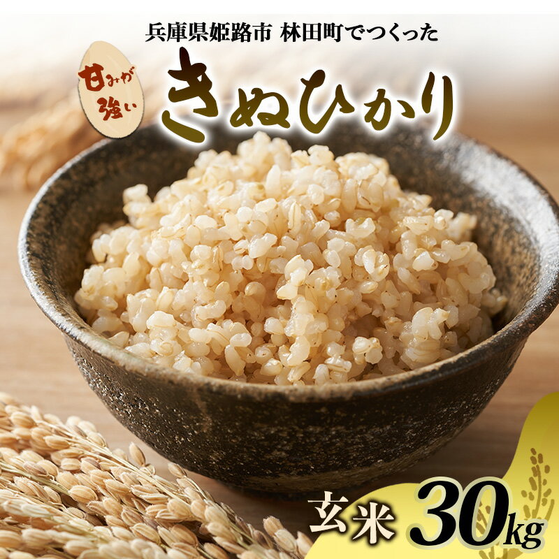 【ふるさと納税】[令和7年産]＜10月初旬以降発送予定＞きぬひかり玄米30キロ 兵庫県姫路市産　白米　米　お米 精米 ご飯 甘みが強い ツヤ キヌヒカリ もっちりとした食感 単一原料米 おいしいお米 　お届け：2025年10月上旬より順次出荷