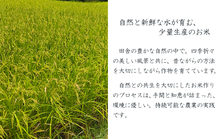 【数量限定】新米 令和７年産 農薬・化学肥料不使用 「陽の光穂（ひのひかり）」3kg(1kg×3p) 　TF0803-P00075