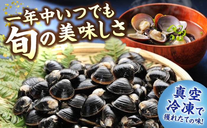 【全6回定期便】生産量日本一！宍道湖産 ヤマトシジミMサイズ（真空冷凍） 80g×15袋 島根県松江市/有限会社日本シジミ研究所 [ALBS004]