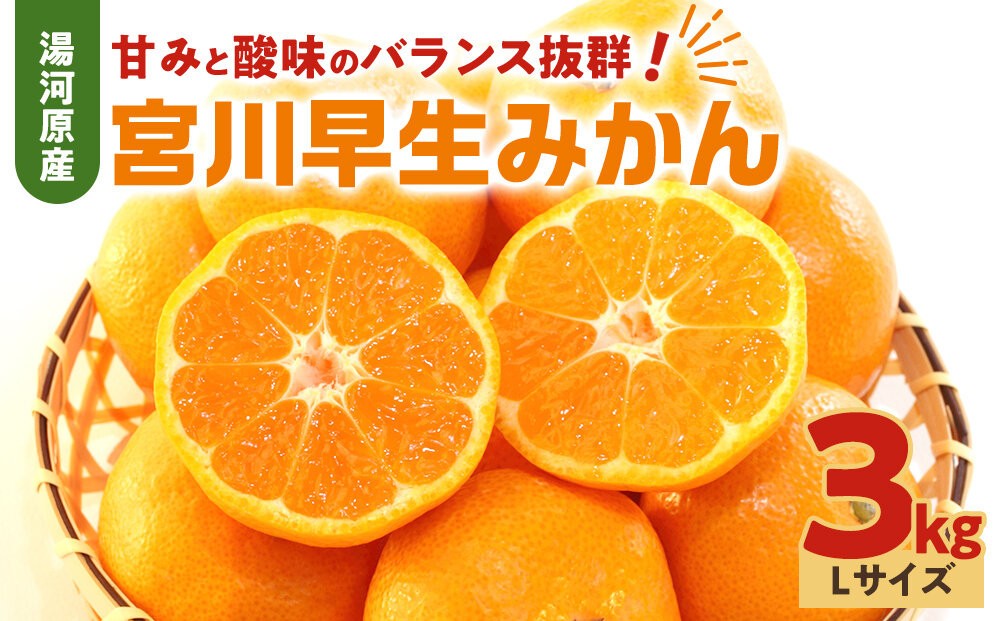 
                  甘みと酸味のバランス抜群・宮川早生みかん　3kg(Lサイズ) | 湯河原町 Lサイズ 3kg 宮川早生みかん 果物 旬 みかん フレッシュ
                