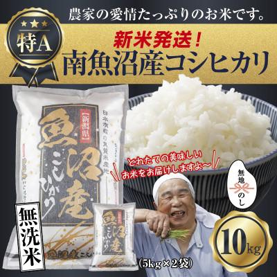 ふるさと納税 南魚沼市 無地のし 無洗米 令和7年産 南魚沼産 コシヒカリ 10kg (お米の炊き方ガイド付)