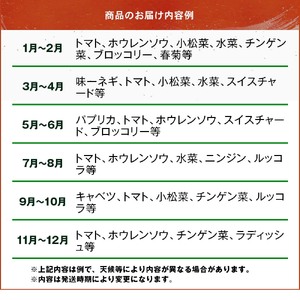 【JA直売所直送】春夏秋冬野菜セット 【6ヶ月定期便】　毎月届く　旬野菜