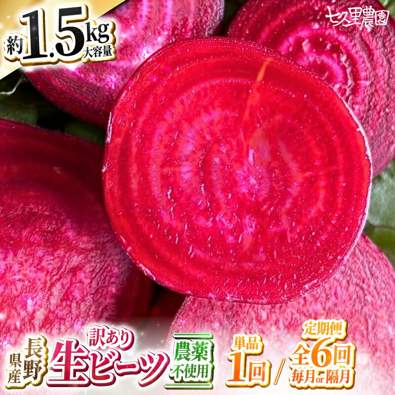 【ふるさと納税】レッドパワービーツ 約1.5kg【 お試し 1回 or 6回 定期便 】| 野菜 ビーツ レッドパワー レッドパワービーツ 定期 長野県 信州 南信州 飯田市