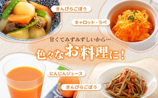 【3月～4月発送予定】（生産者直送）玉手農場産雪下ニンジン5kg