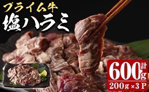  プライム牛 塩ハラミ(計600g) 小分け 牛肉 肉 ハラミ 牛はらみ 味付け 焼肉 塩 BBQ 冷凍 大分県 佐伯市【DH296】【(株)ネクサ】