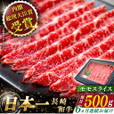 【ふるさと納税】【全6回定期便】 長崎和牛 モモ スライス 総計3.0kg （約500g×6回）【ながさき西海農業協同組合】 [QAK032] 肉 和牛 牛肉 モモ肉 もも肉 赤身 人気 しゃぶしゃぶ すき焼き 霜降り さざちょう おすすめ 11万4千円 114000円