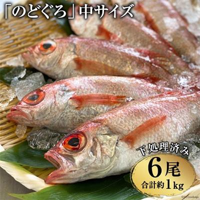 ふるさと納税 島原市 脂のり抜群!「のどぐろ」中サイズ(160〜180g)6尾＜煮付け・塩焼き用＞