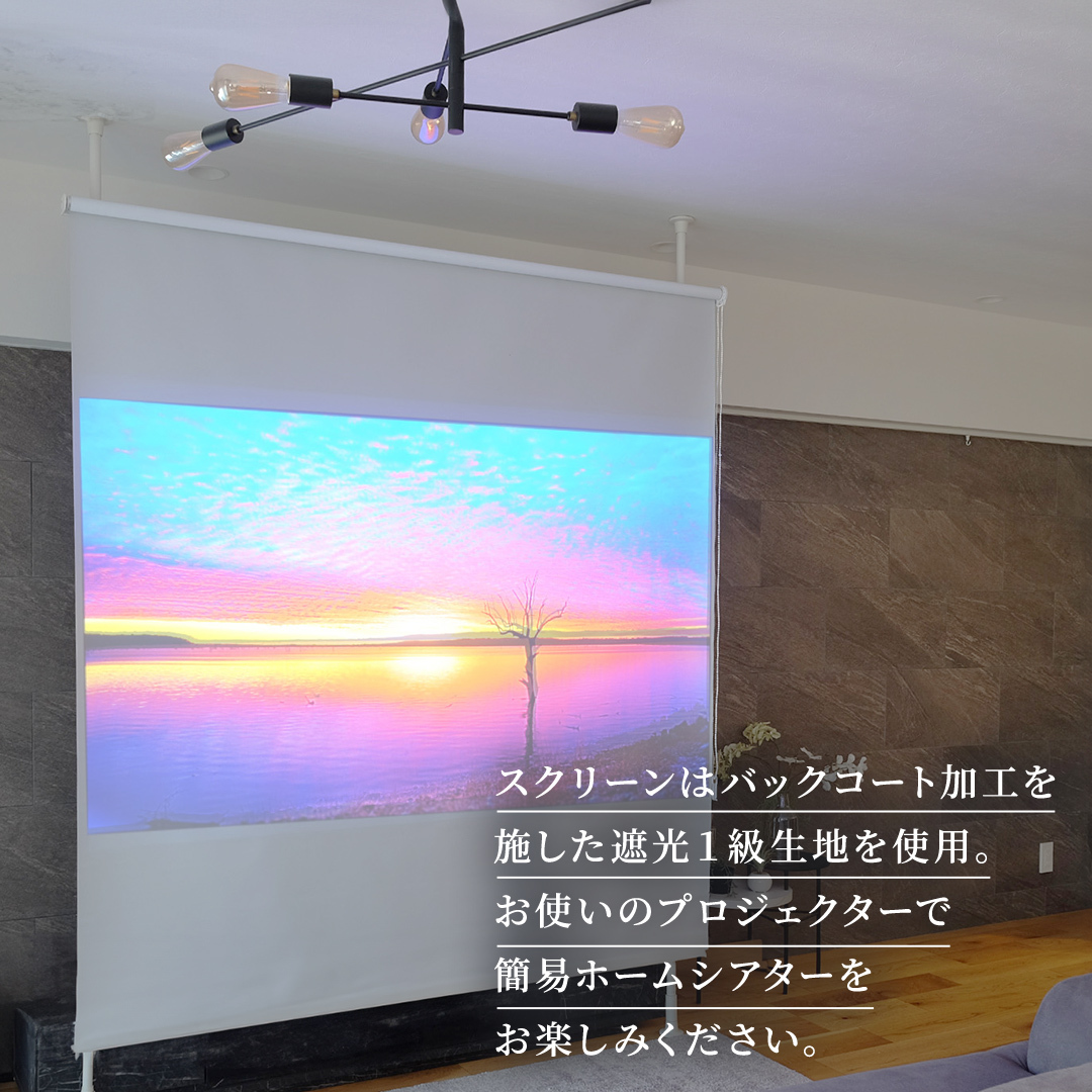 TOSO Naivis つっぱりポール 遮光スクリーン間仕切セット 180cm×220cm つっぱりポール＆ロールスクリーンですっきり間仕切！映写スクリーンにも！（ホワイト） リビング間仕切 簡易間仕
