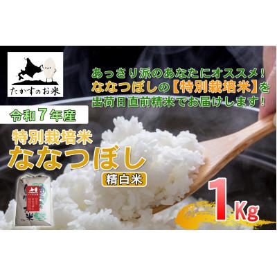 ふるさと納税 鷹栖町 【令和7年産】たかすのお米「特別栽培米 ななつぼし」1kg(精米)