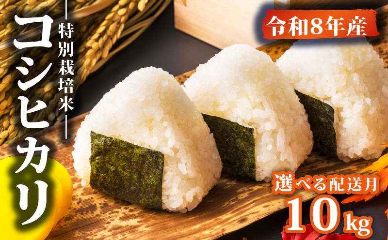 
                  【コンテスト入賞米】 新米 特別栽培米 コシヒカリ 10kg 5kg×2袋 選べる 配送月 特栽米 新潟県産コシヒカリ 新発田産 新潟 米 アグリ中俵 新潟県 新発田市 【令和8年産 先行予約 】nakatawaraKH006P
                