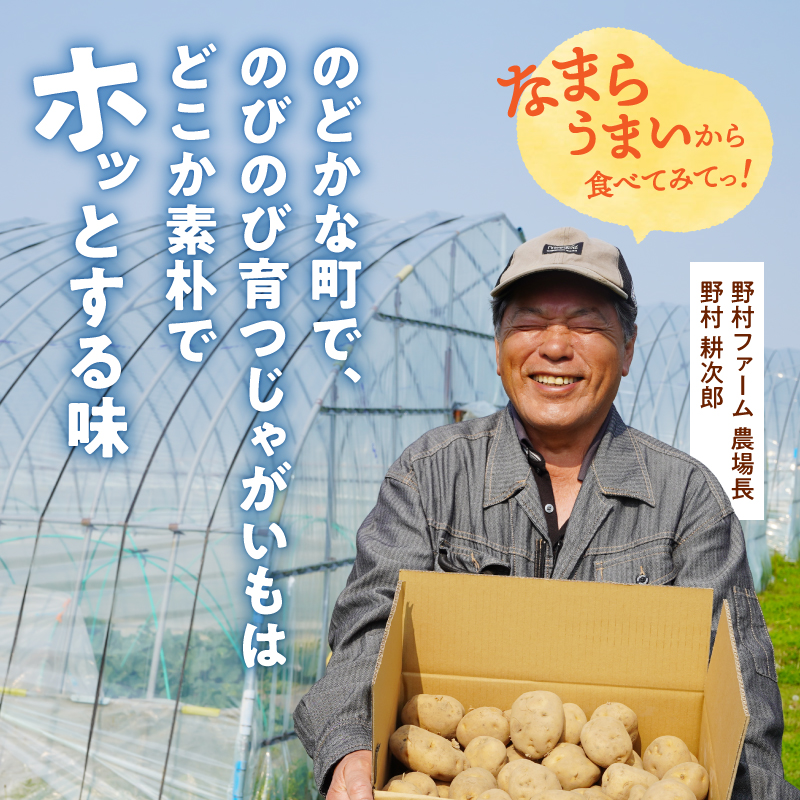 2026年9月中旬～発送 北海道産 じゃがいも きたあかり 5kg 別名「栗じゃが」 甘くておいしい ジャガイモ 芋 いも 秋野菜 季節の野菜 直送農場 北海道雨竜町産 サイズ混同 野菜 U012-0