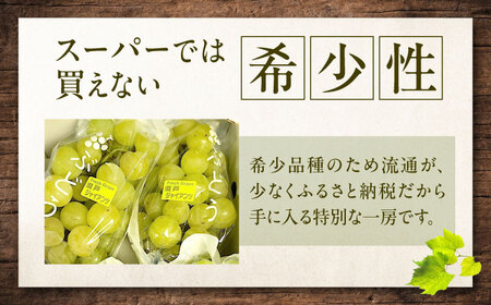 【先行予約】瀬戸ジャイアンツ 約2kg1箱（4房～6房）＜2026年8月下旬から発送＞/ 瀬戸ジャイアンツ ぶどう ブドウ 葡萄 マスカット ますかっと 愛媛県 愛媛 内子町 フルーツ 果物 送料無料