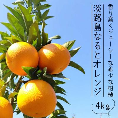 ふるさと納税 淡路市 淡路島なるとオレンジ 4kg 【発送時期2026年3月〜4月】　an13002