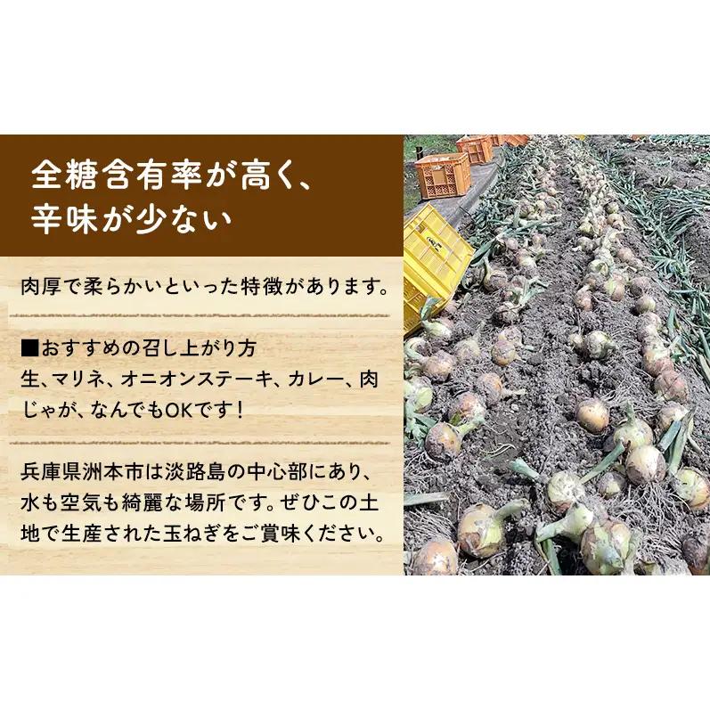 ターザン 淡路島産貯蔵用玉ねぎ 3kg たまねぎ タマネギ 玉葱 野菜 新鮮 長持ち 貯蔵用 カレー シチュー バーベキュー スープ 兵庫県 洲本市 淡路島