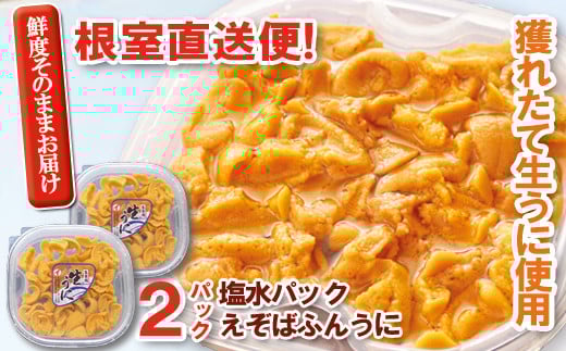 F-40003 エゾバフンウニ塩水パック100～110g×2P[2026年2月下旬以降発送]