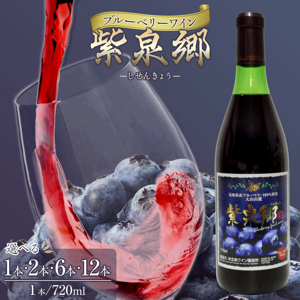 【ふるさと納税】【選べる1～12本】酒 ワイン ブルーベリーワイン 紫泉郷（しせんきょう） | お酒 さけ 人気 おすすめ 送料無料 ギフト
