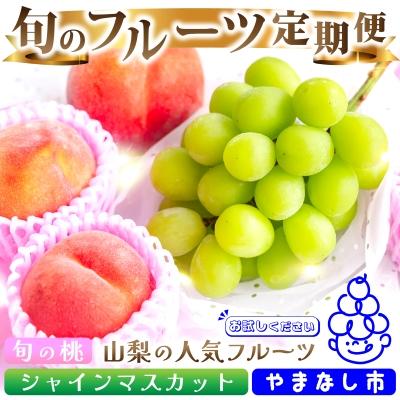 ふるさと納税 山梨市 【発送月固定定期便】2026年発送 山梨フルーツ旬の果物 桃+シャインマスカット 全2回