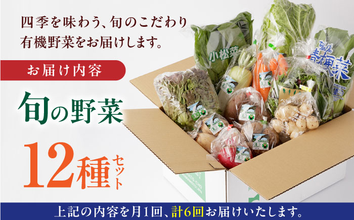 【全6回定期便】四季を味わう野菜セット【株式会社 肥後やまと】 [YAF021]