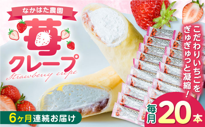 
【全6回定期便】なかはた農園の苺クレープ 20本 山都町産 熊本県産 アイス おやつ おかし お菓子 スイーツ デザート いちご イチゴ ジャム 定期 【なかはた農園】[YBI057]
