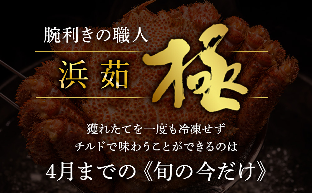 【未冷凍、冷蔵発送! 2026年新物】極・稚内産毛ガニ800g～900g 浜茹でチルド