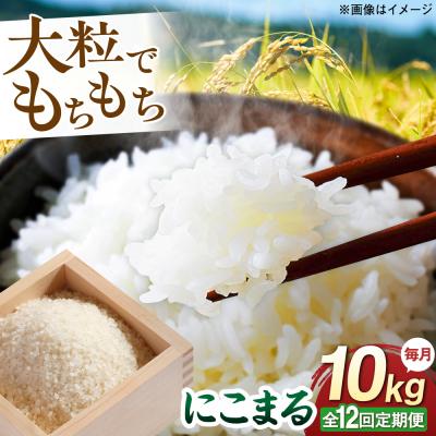 ふるさと納税 糸島市 【全12回定期便】 にこまる 玄米品質1等米 白米 10kg 糸島市産 [AGR013]