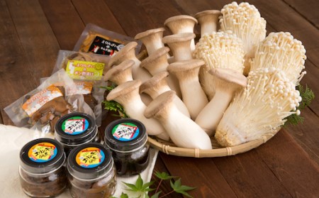 Y197 八頭町産きのこのバラエティーセット