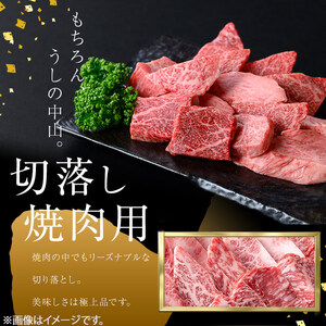 ＜A4・A5等級＞鹿児島県産黒毛和牛 うしの中山 切り落とし焼肉用 200g 黒毛和牛 和牛 肉 牛肉 国産 九州産 鹿児島県産 焼肉 日本一 a0-382