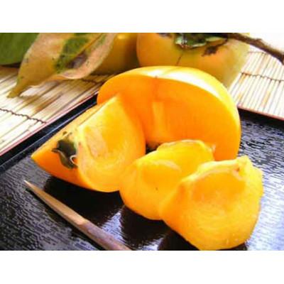 ふるさと納税 かつらぎ町 たねなし柿 秀品 大玉3L-28個入り 約7.5kg【10月上旬〜順次発送】