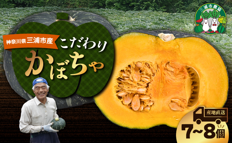神奈川県三浦市産 三浦こだわりかぼちゃ（7～8個）　M109-004