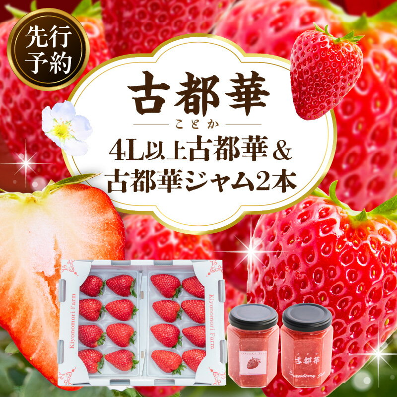 【ふるさと納税】【2026年2月～3月発送】高級いちご「古都華」4L以上2パック&古都華ジャム2個 先行予約 ことか 甘い 糖度 濃い 濃厚 果汁 朝摘み いちご イチゴ 苺 ジャム フルーツ 果物 果物 ご褒美 ごほうび 贈答 贈り物 ギフト プレゼント 冷蔵 奈良県 生駒市 送料無料