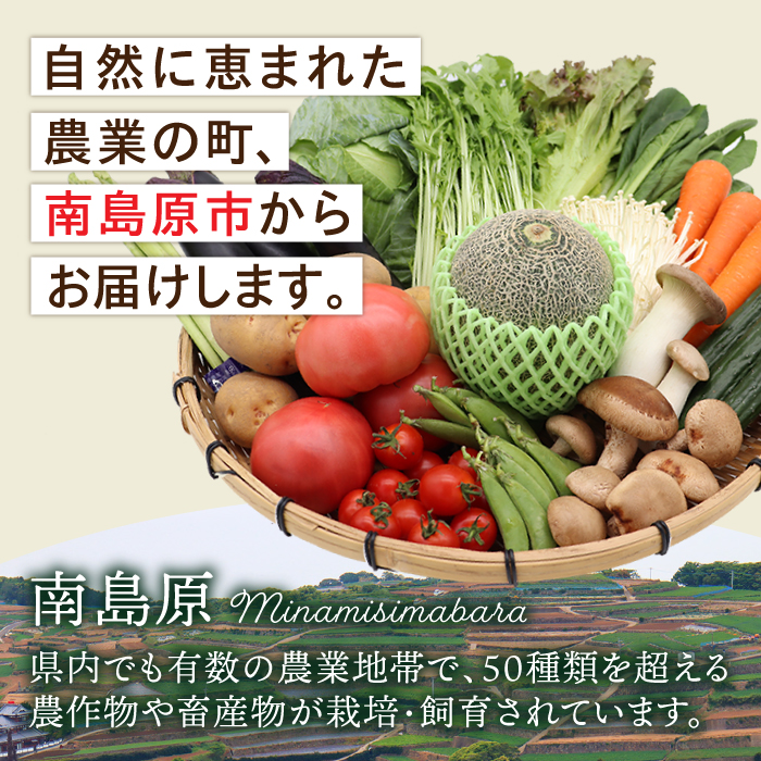 【定期便 毎月コース】豪華！野菜 セット 15品目以上 12回 定期  /  野菜 フルーツ きのこ バラエティ 詰め合わせ 南島原市 / 吉岡青果 [SCZ019]_イメージ2