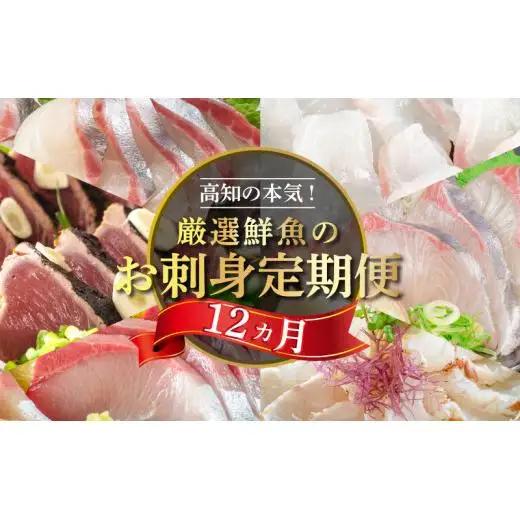 【 刺身 】 刺身定期便 12ヶ月